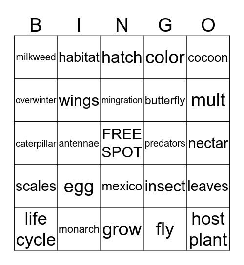 butterfly bingo  Bingo Card