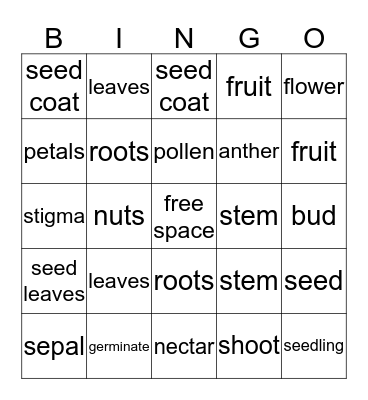 Plant Bingo Card