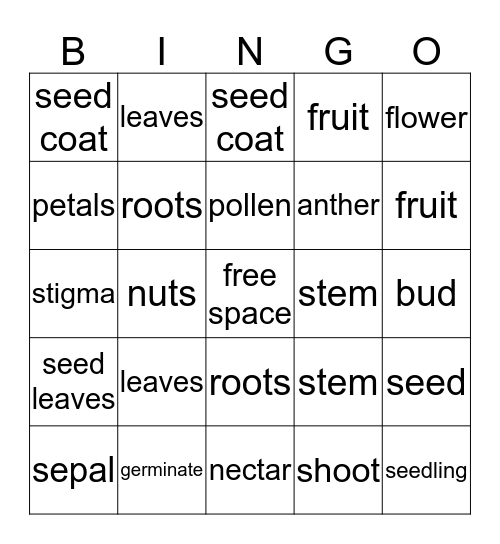 Plant Bingo Card