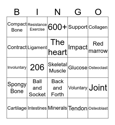 Musculoskeletal Bingo II Bingo Card