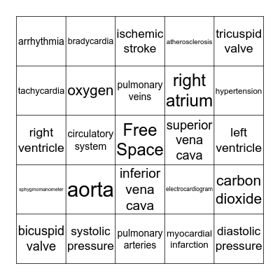 Cardiovascular System Bingo Card