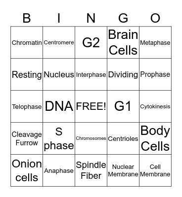 Mitosis Bingo Card