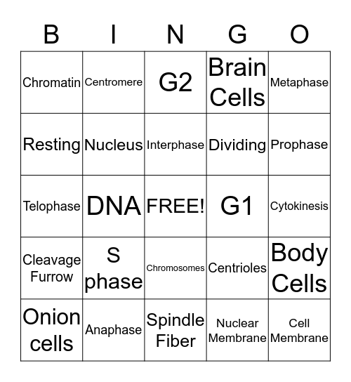 Mitosis Bingo Card
