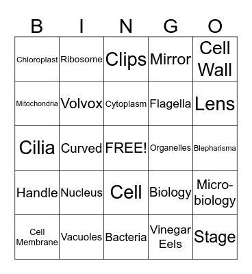 Microscope & Cells Test Bingo Card