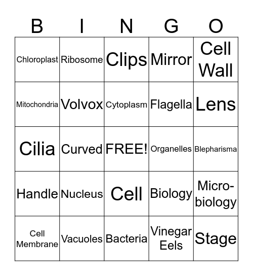 Microscope & Cells Test Bingo Card