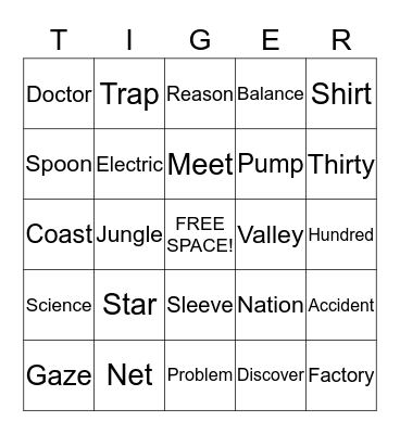 Tiger Academy BINGO Card