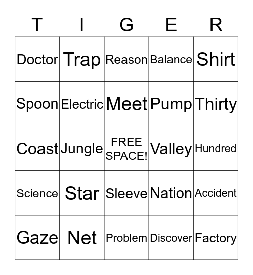 Tiger Academy BINGO Card