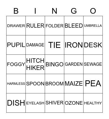 TEST YOUR VOCABULARY Bingo Card