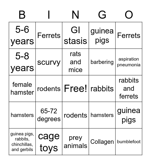 Small Mammal Animal Care and Nursing Bingo Card