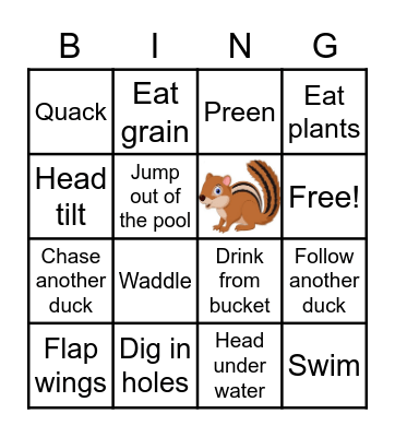 Duck Behavior Bingo! Bingo Card