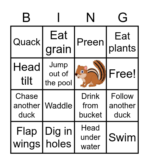 Duck Behavior Bingo! Bingo Card