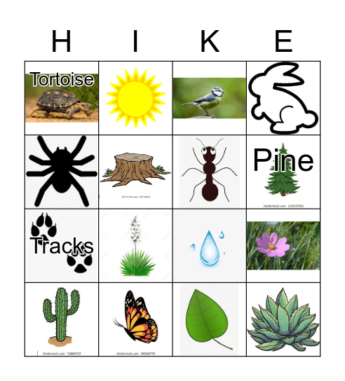 Nature Hike Bingo Card