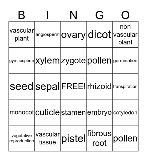 The Plant Kingdom Bingo Card