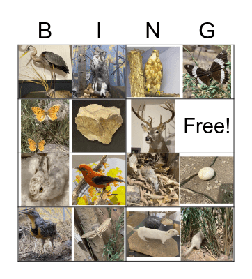 Natural History Museum Bingo Card