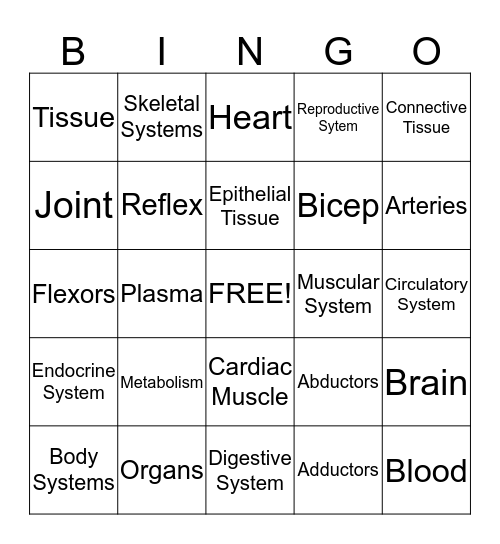 Anatomy Bingo Card
