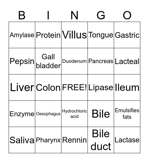 Digestive system Bingo Card