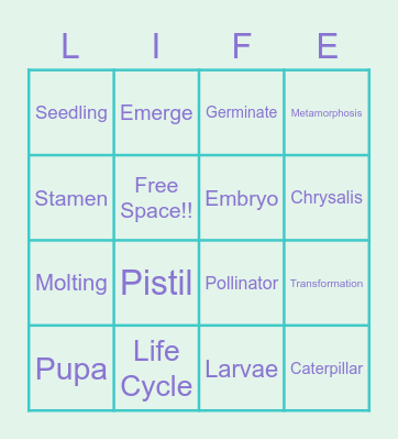 Life Cycle of a Butterfly Bingo Card