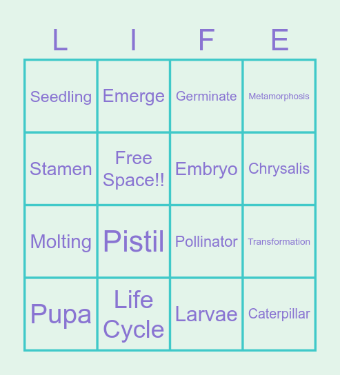 Life Cycle of a Butterfly Bingo Card