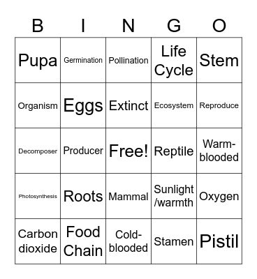 Science Camp Bingo Card