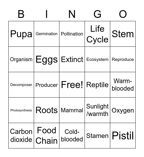 Science Camp Bingo Card