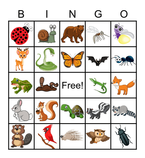 Forest Animals/Insects Bingo! Bingo Card