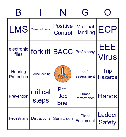 1 TEAM Bingo Card