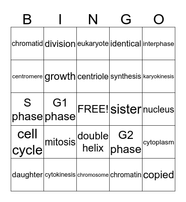 10.2 CELL DIVISION BINGO Card
