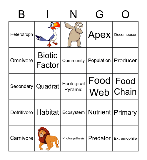 ECOLOGY BINGO Card