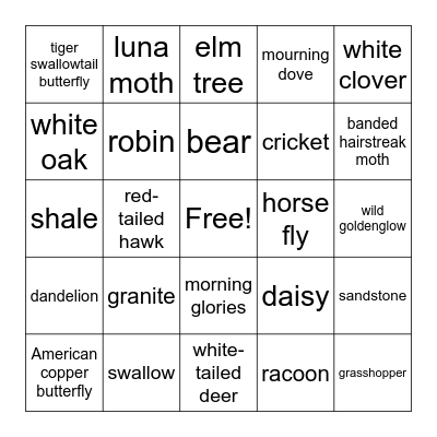 Nature Bingo Card