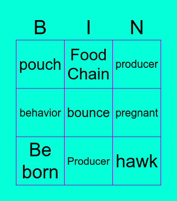 Food Chains Bingo Card