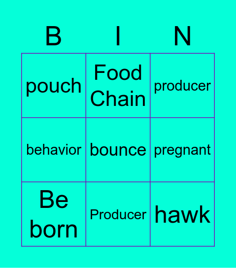 Food Chains Bingo Card