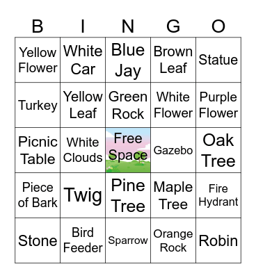 NATURE  HUNT Bingo Card