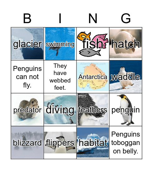 Penguins Bingo Card