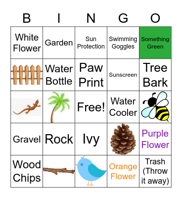 Nature Bingo Card