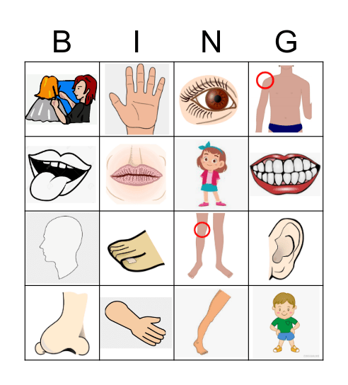 Parts of the BODY Bingo Card