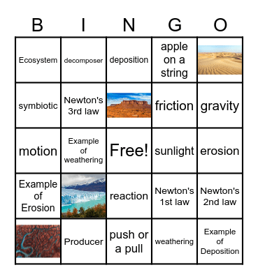Science Final Bingo Card