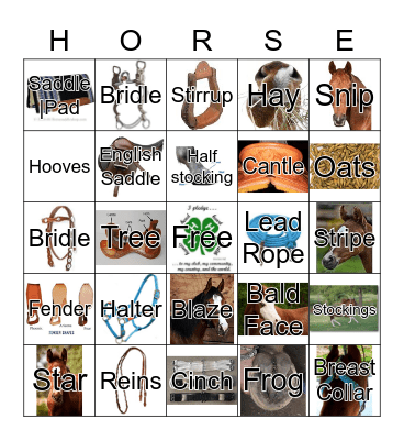 Horse Bingo Card