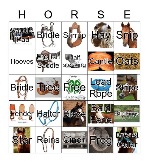 horse-bingo-card