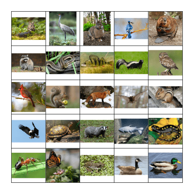 Wisconsin Animals - HARD Bingo Card