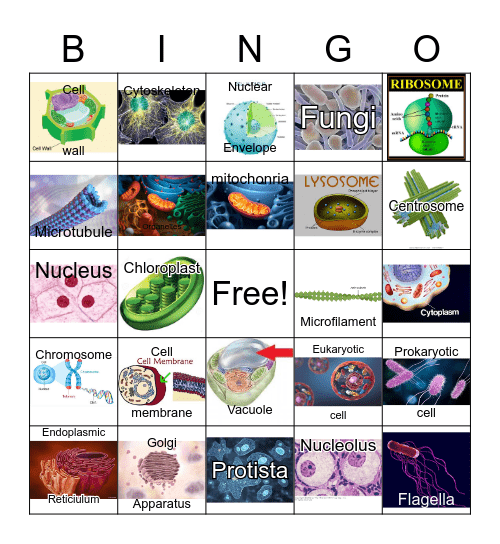 Cell Bingo Card