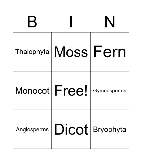 PLANTAE RECAP Bingo Card