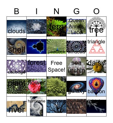 Fractal Bingo Card