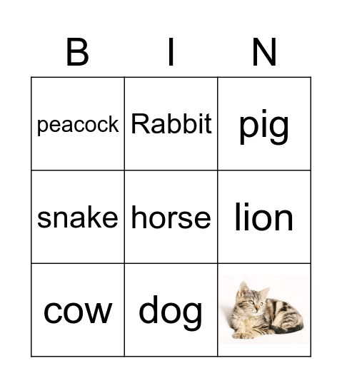 בעלי חיים Bingo Card