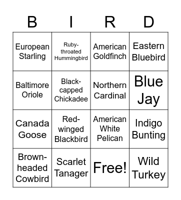 Bird Bingo Card