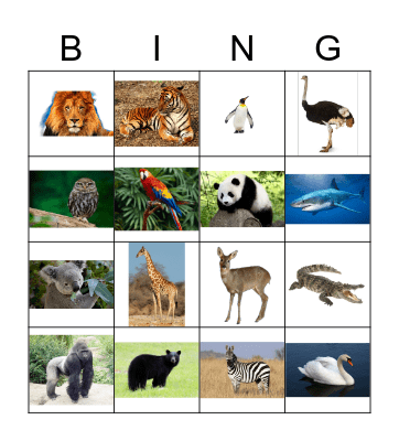 Animals (pictures) Bingo Card