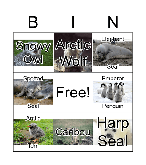 Arctic Animals Bingo Card