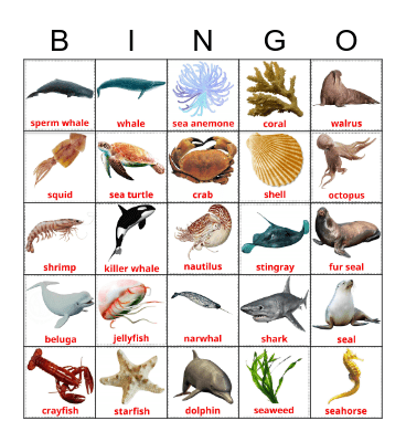 SEA ANIMALS Bingo Card