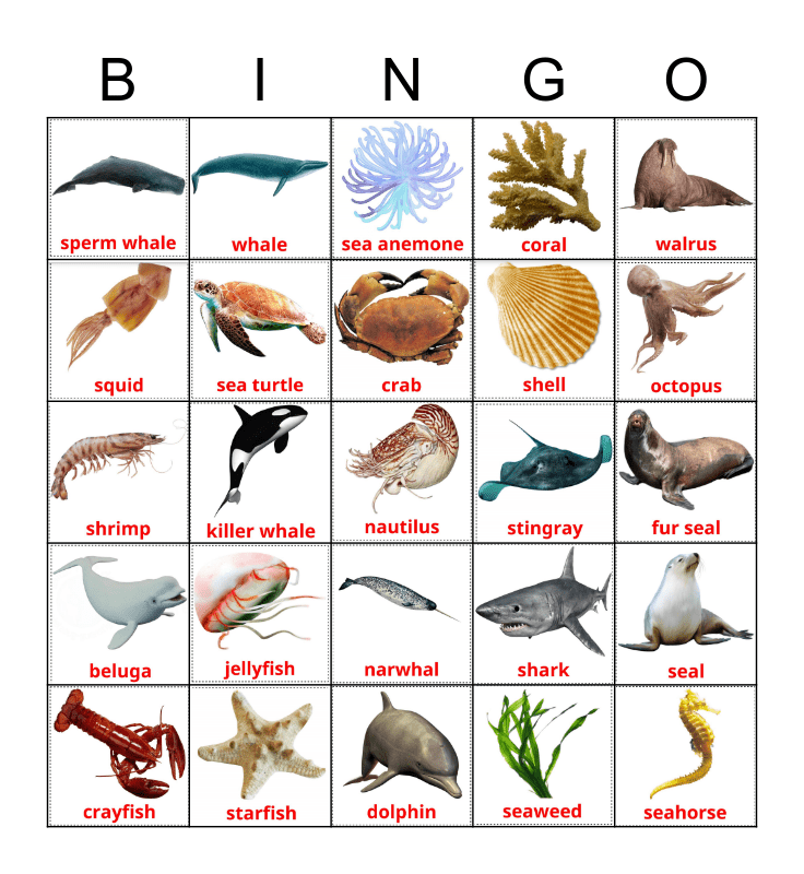 SEA ANIMALS Bingo Card