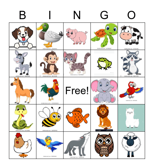 ANIMAL Bingo Card