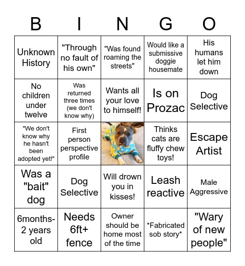 Pit Adoption Red Flags Bingo Card